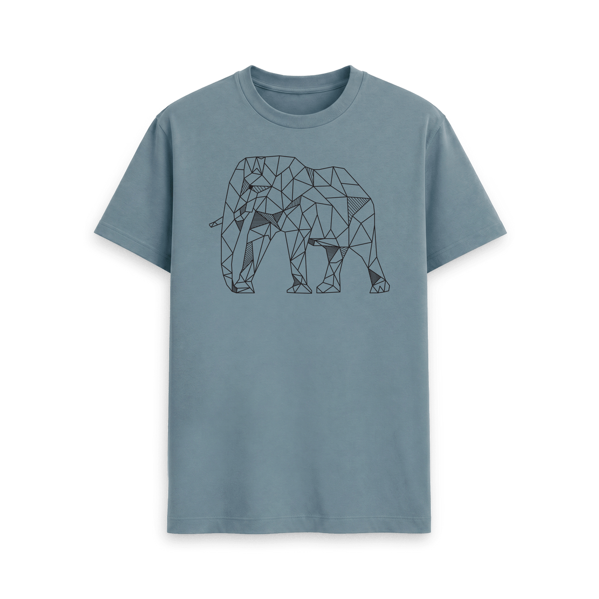 Stone Blue Printed T-shirt Front