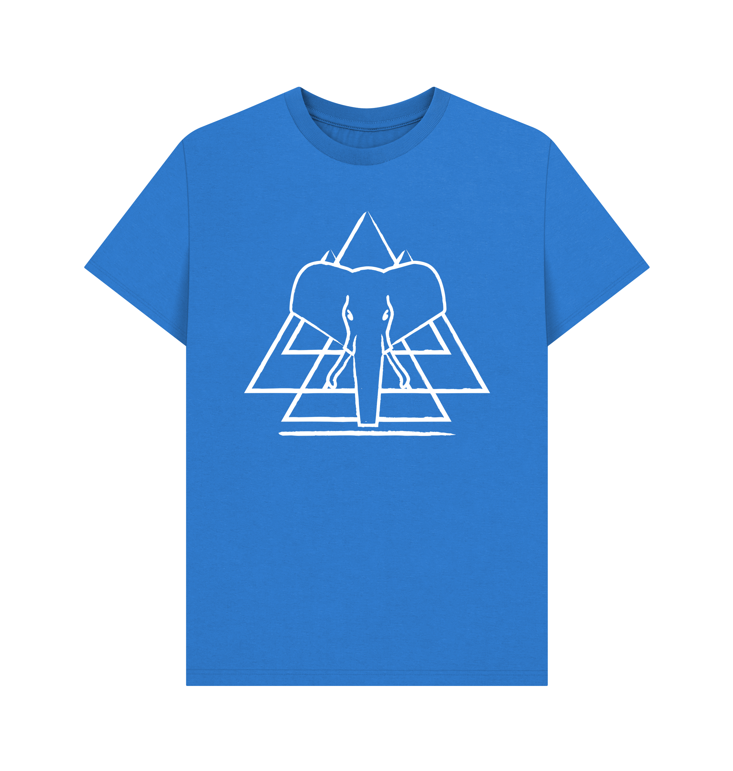 Bright Blue Printed T-shirt Front
