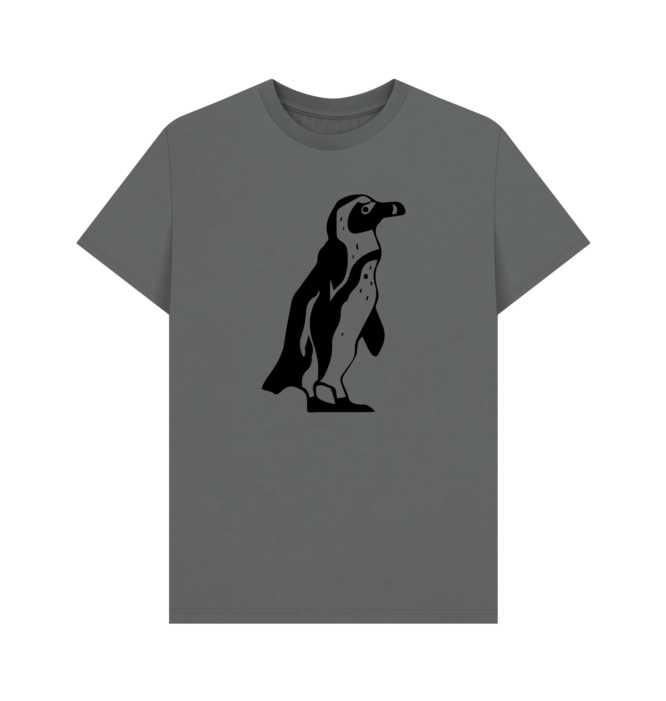Slate Grey Printed T-shirt Front