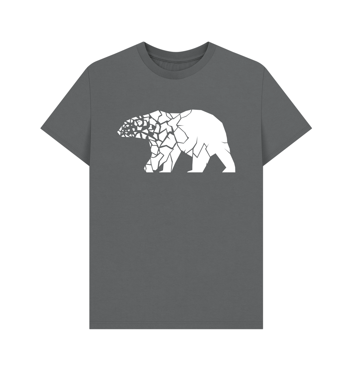 Slate Grey Printed T-shirt Front
