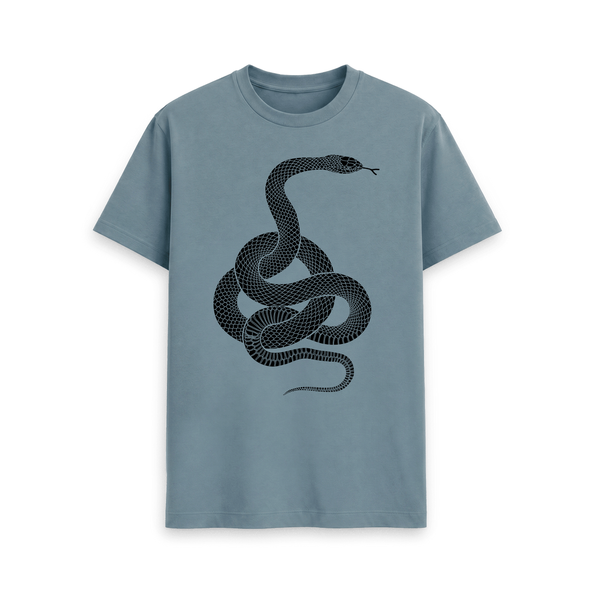 Stone Blue Printed T-shirt Front