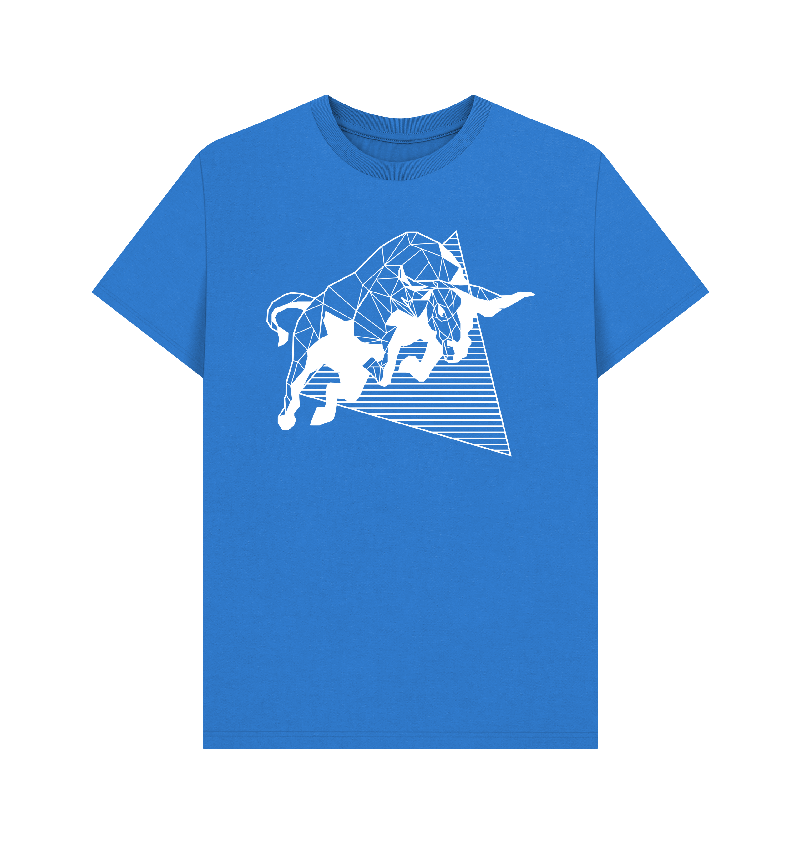 Bright Blue Printed T-shirt Front