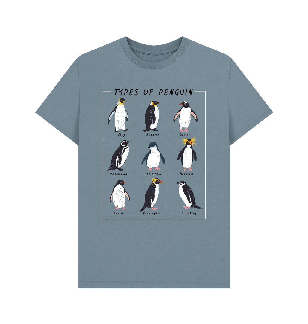 Stone Blue Printed T-shirt Front