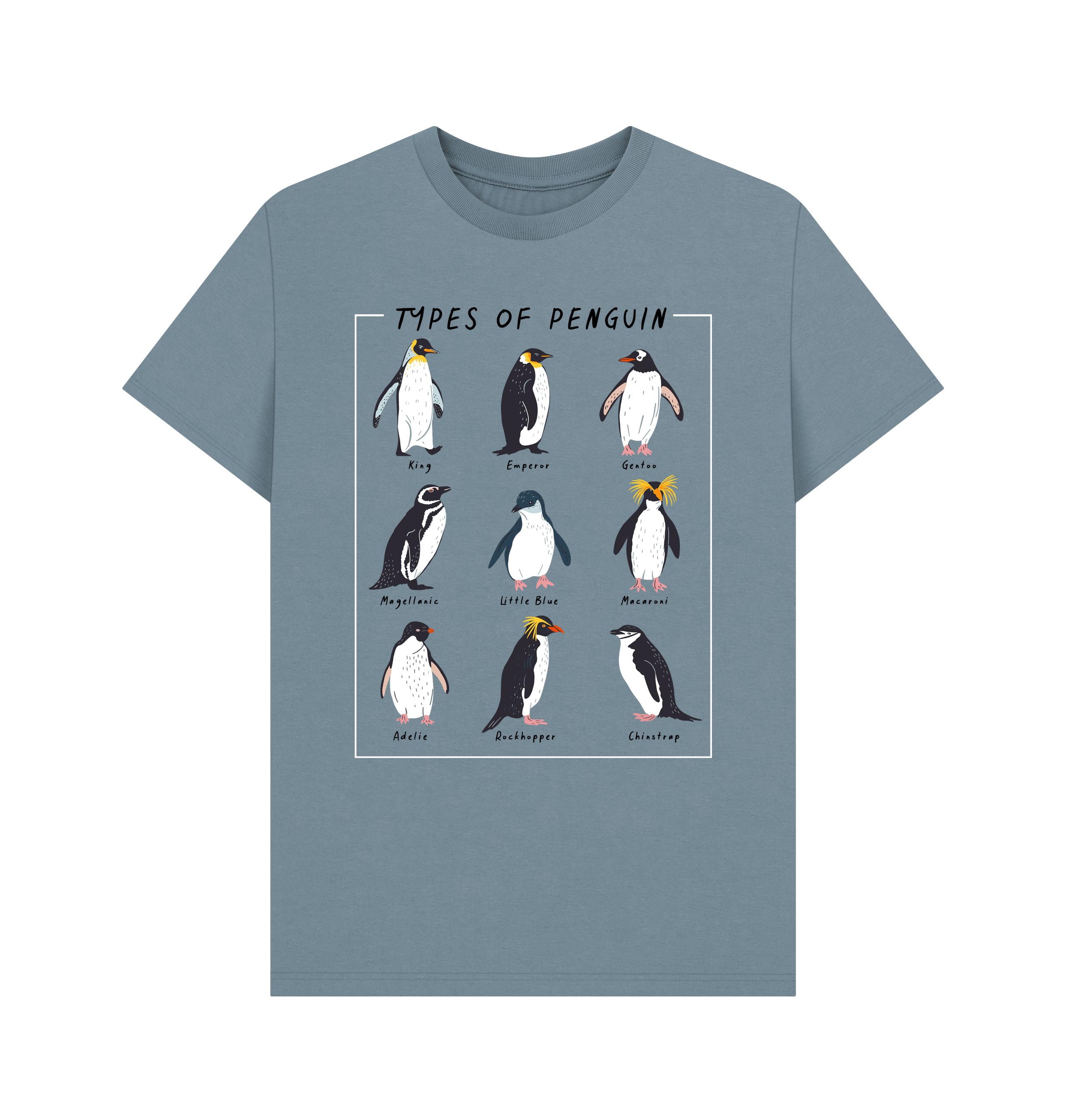 Stone Blue Printed T-shirt Front