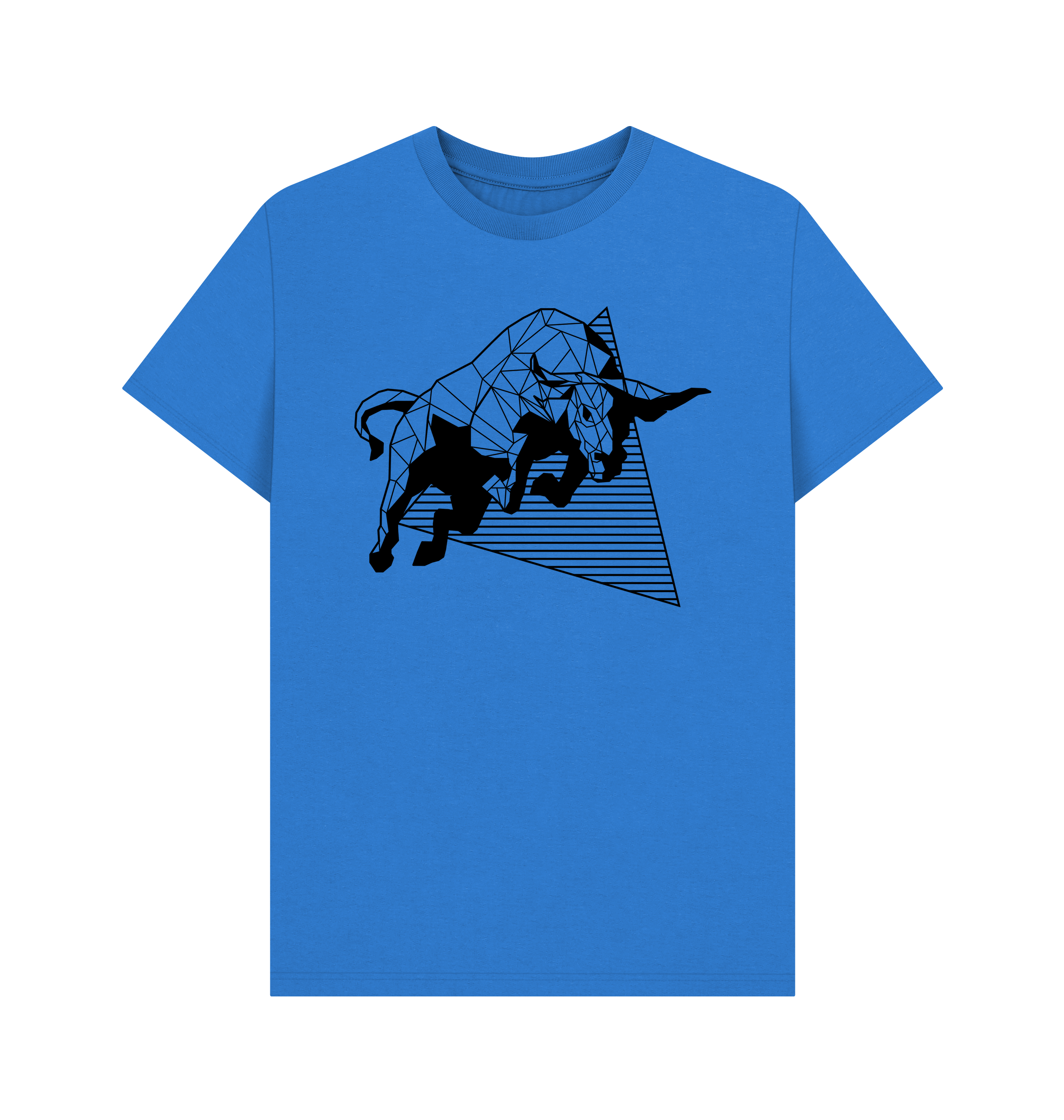 Bright Blue Printed T-shirt Front