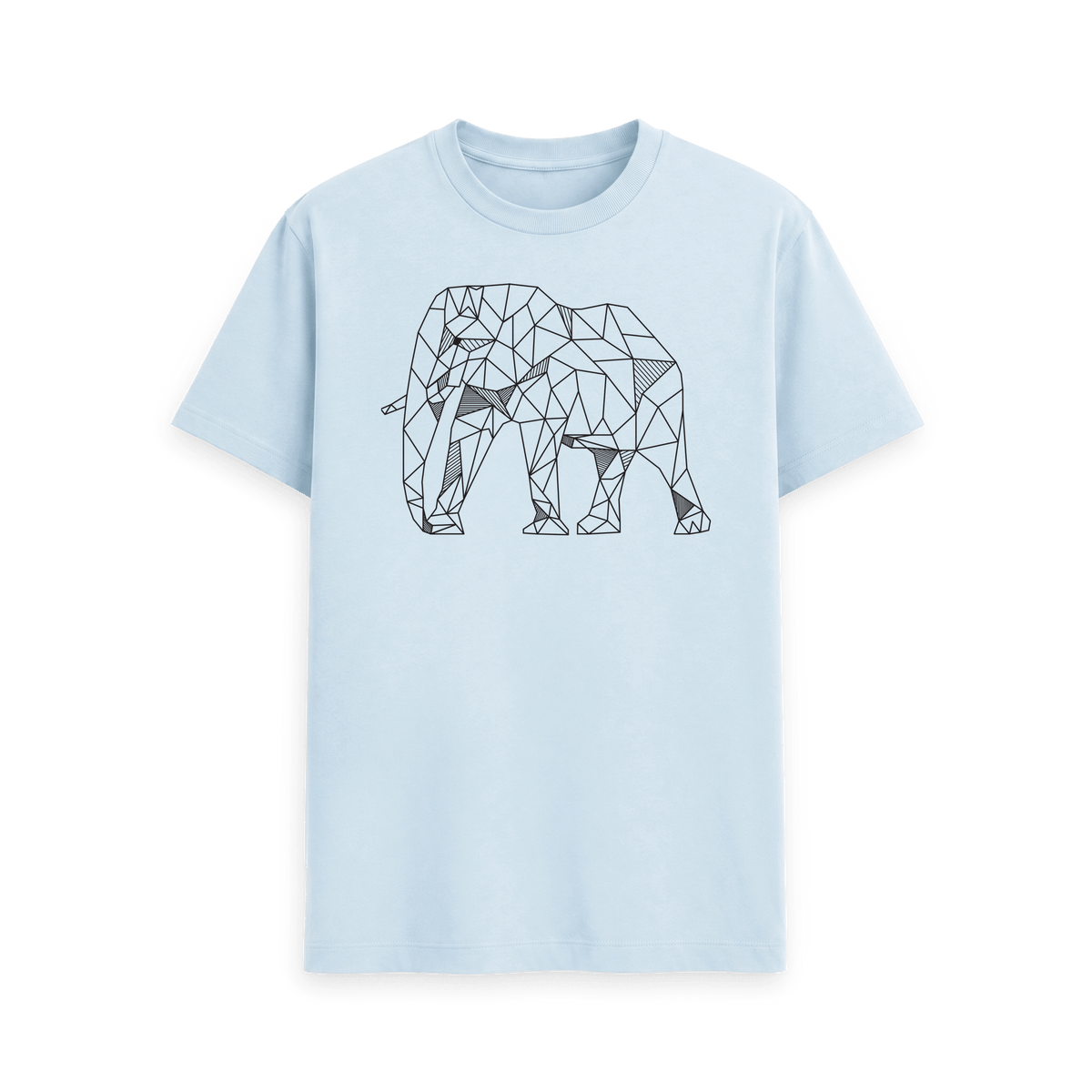 Sky Blue Printed T-shirt Front
