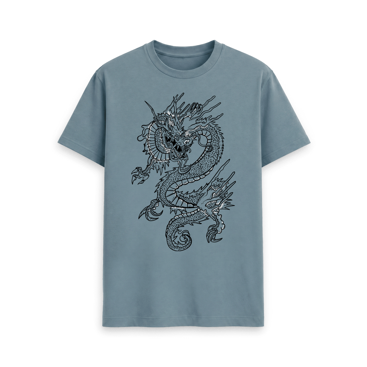 Stone Blue Printed T-shirt Front