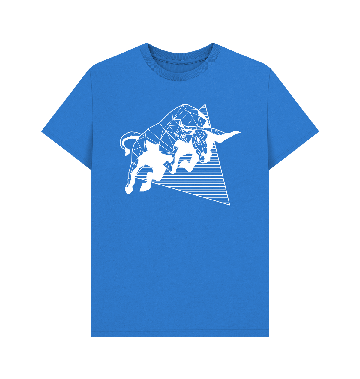 Bright Blue Printed T-shirt Front