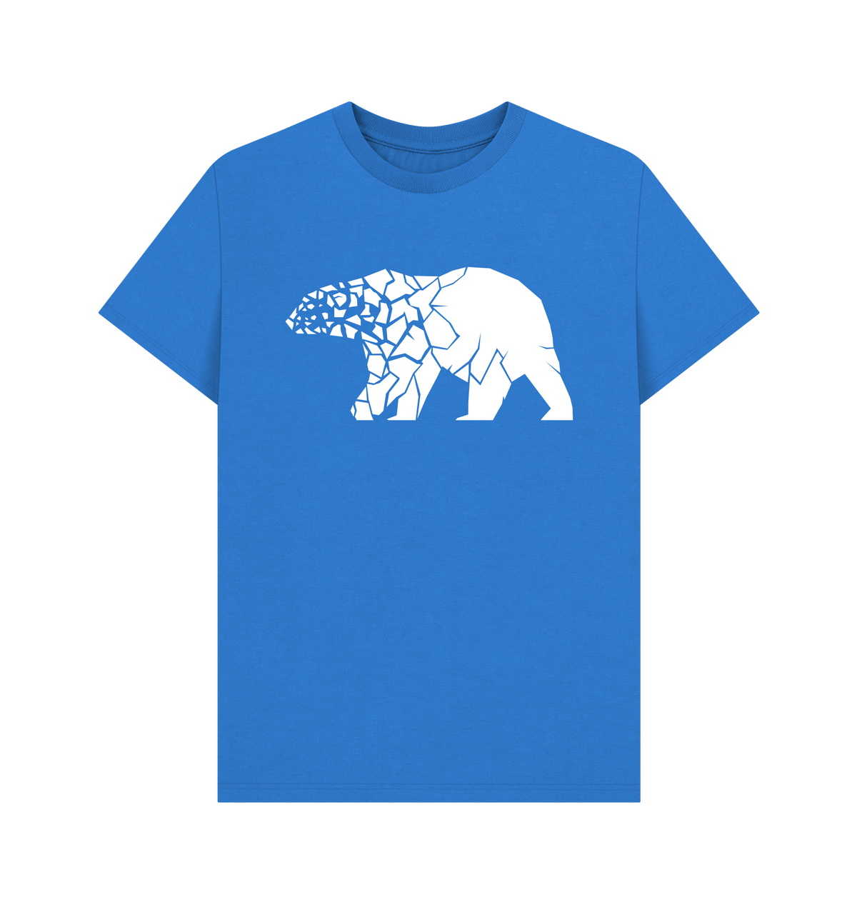 Bright Blue Printed T-shirt Front