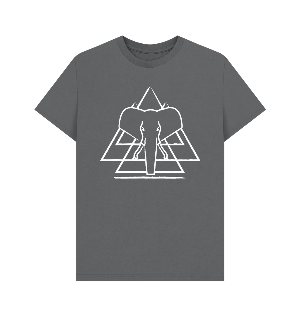 Slate Grey Printed T-shirt Front