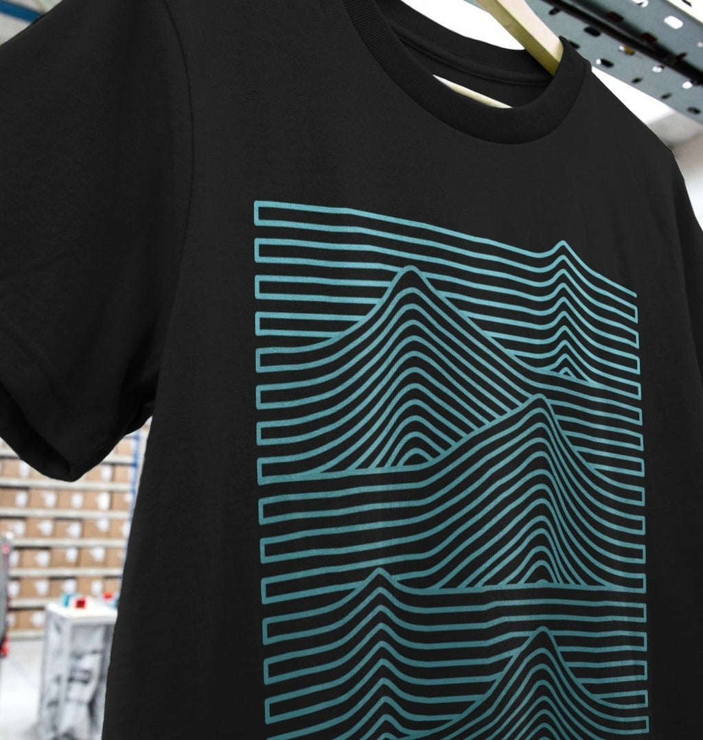 255953779